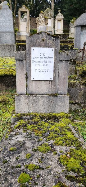 מַצֵּבה פון Bloch Salomon