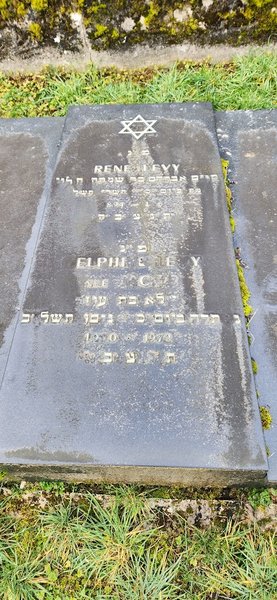 Estela de Lévy Delphine