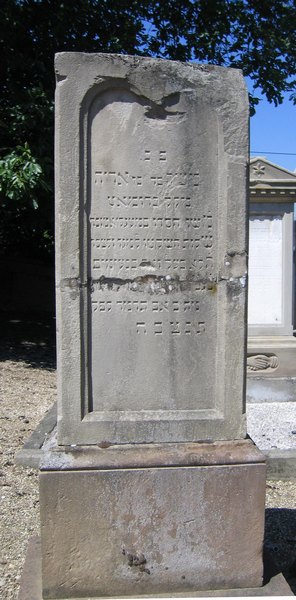 Estela de Heymann Moïse