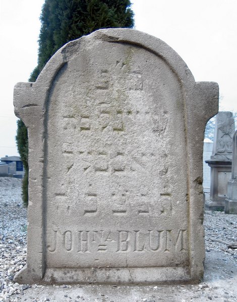 Estela de Blum Johanna