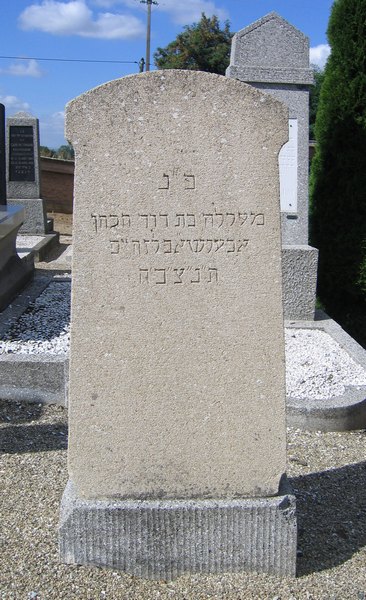 Stèle de Cohen Merele