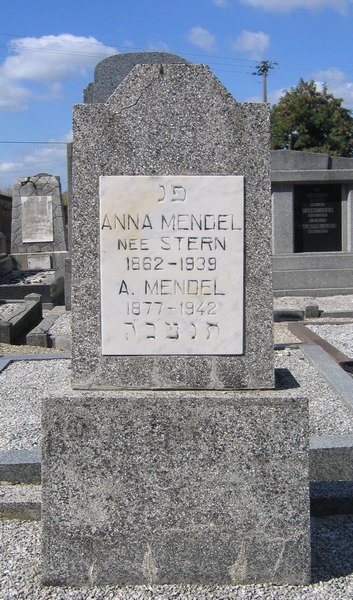 Estela de Mendel A.