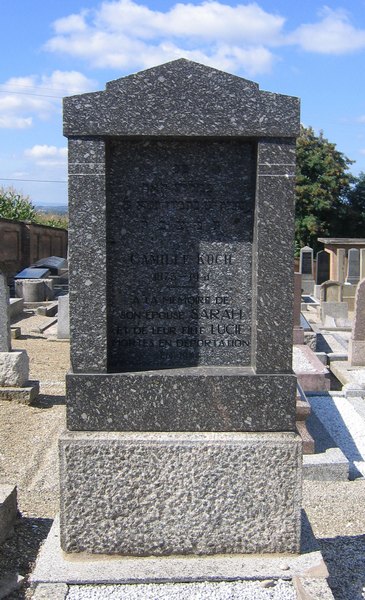 Estela de Koch Camille