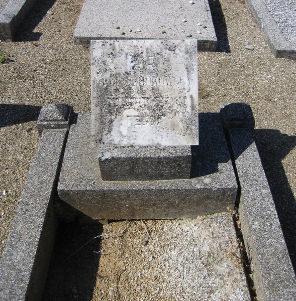 מצבת Brokowski Léon