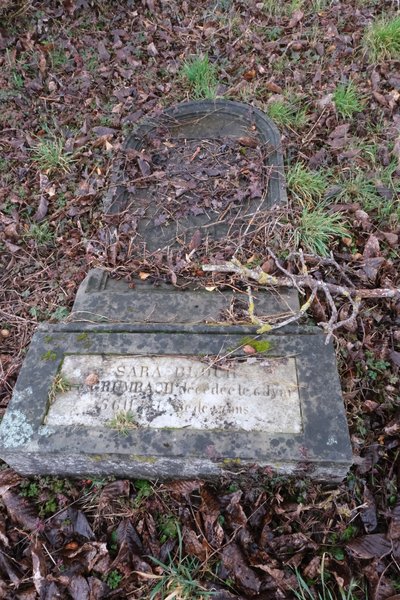 Stèle de Bloch Sara
