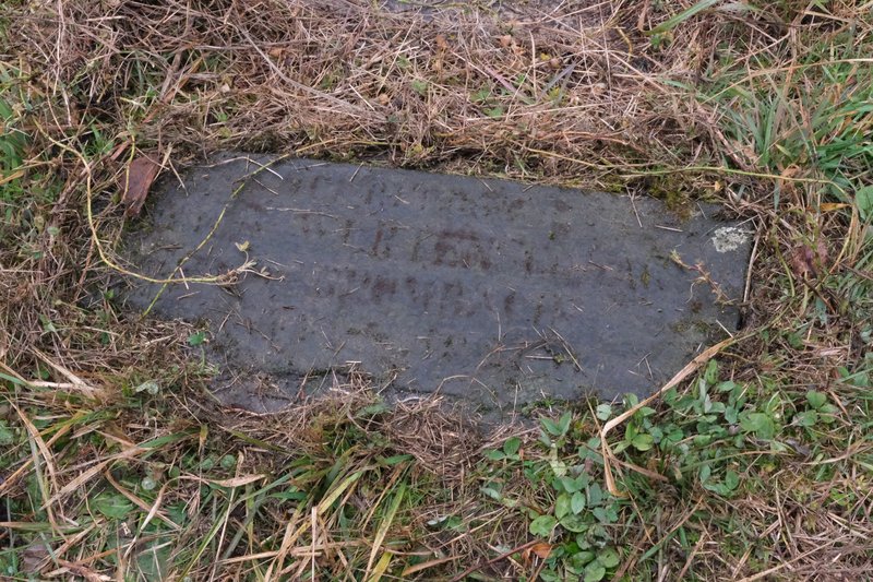Netter Albertine fejfája