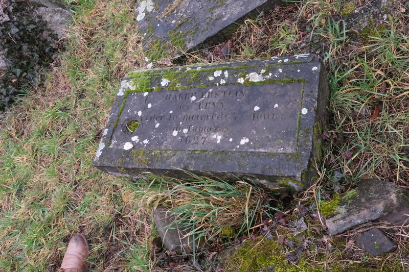 Stèle de Ebstein Barbe