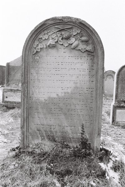 شاهدة قبر Epstein Yisrael