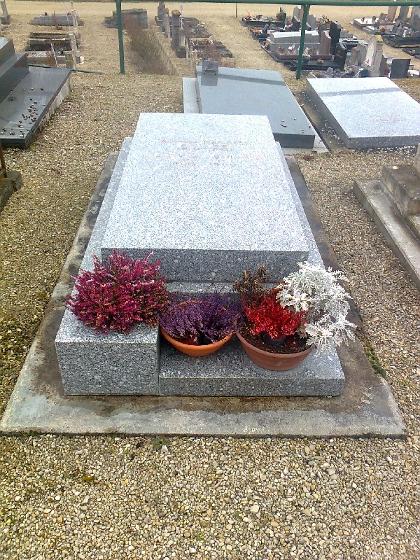 Estela de Salama Alfred