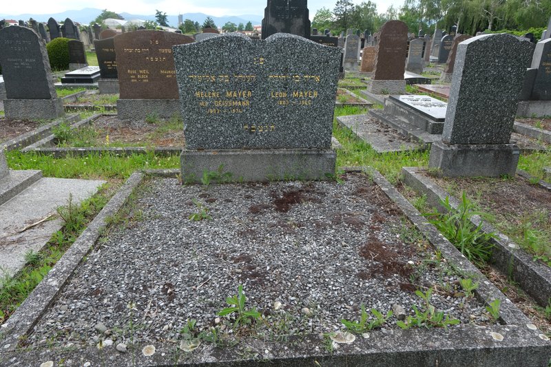 מצבת Mayer Léon