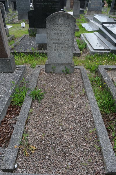 Estela de Horowitz Abraham Moses