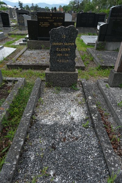 מַצֵּבה פון Elkann Georges