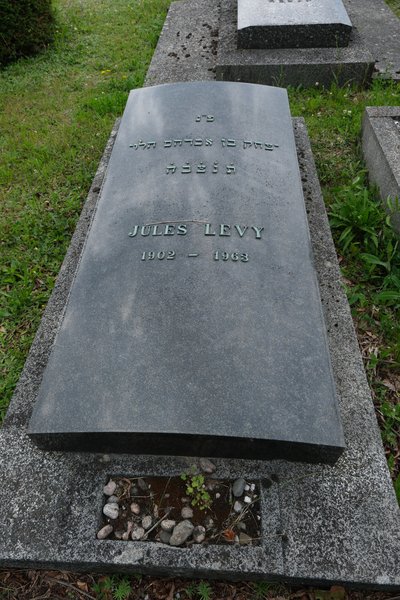 מצבת Levy Jules