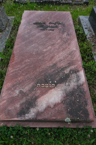 شاهدة قبر Turquin Marthe