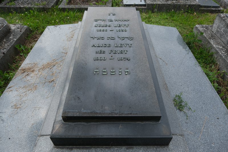 Grabstein von Levy Alice