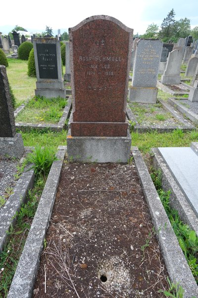 Stèle de Schmoll Rosa