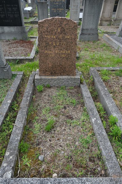 Grabstein von Schwab Paul