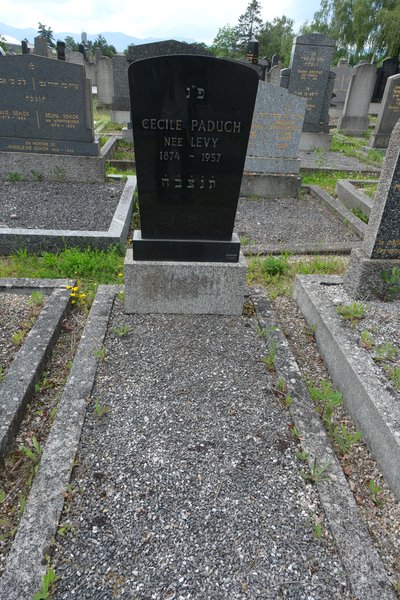 شاهدة قبر Paduch Cécile