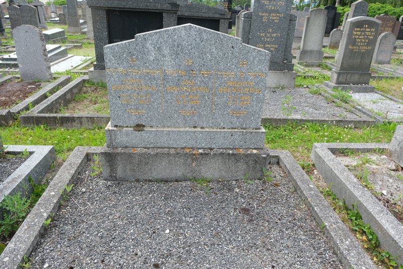 מַצֵּבה פון Brunschwig José