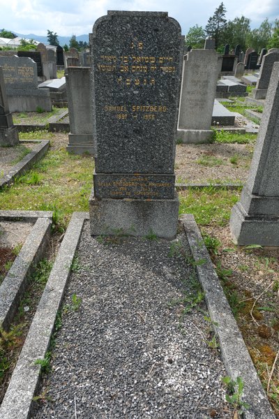 شاهدة قبر Spitzberg Samuel