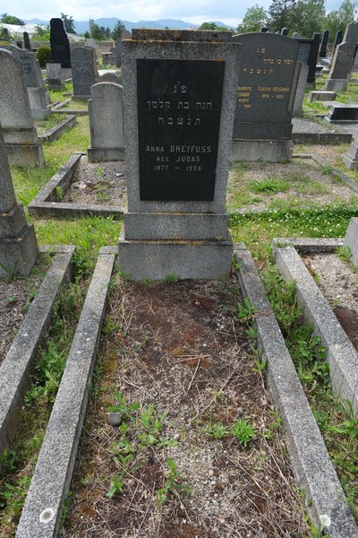 Stèle de Dreyfuss Anna