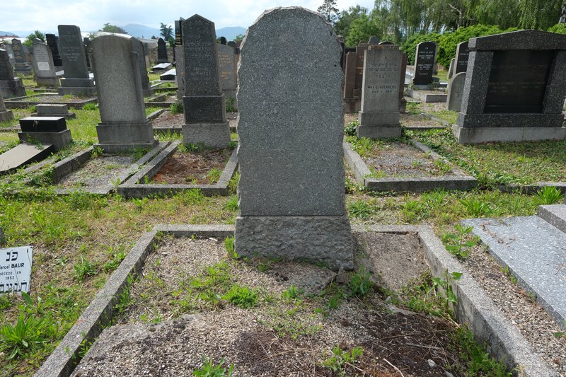Grabstein von Dreyfuss Salomon