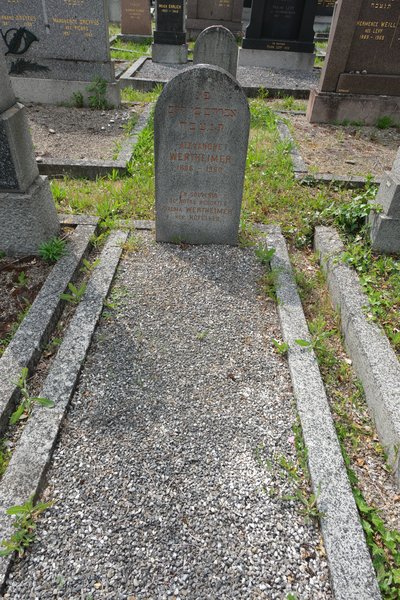 מַצֵּבה פון Wertheimer Alexandre
