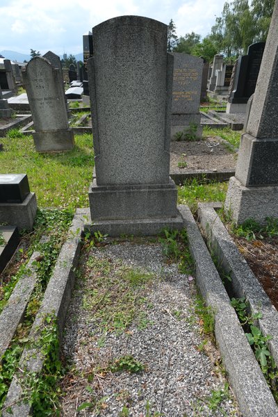 Grabstein von Tartarkovsky Joël