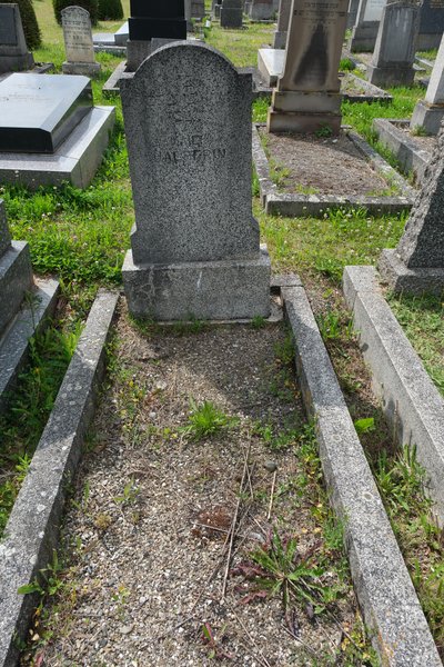 Grabstein von Halperin Maier