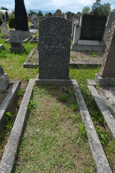 Grabstein von Ebstein Salomon
