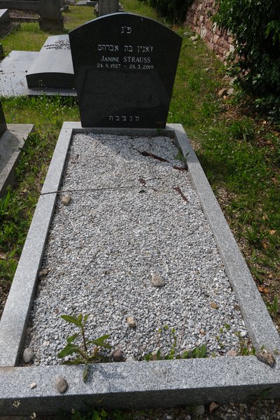Lápide de Strauss Janine