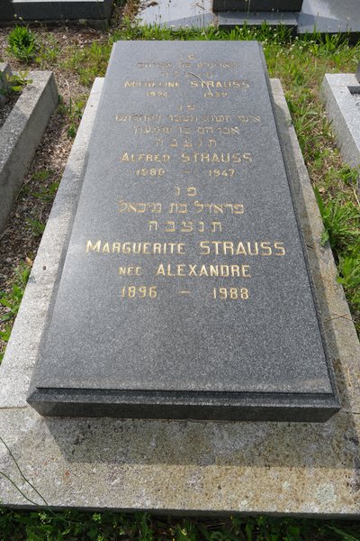 شاهدة قبر Strauss Alfred