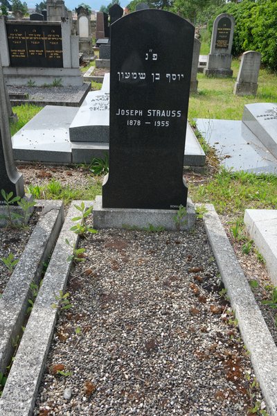 Grabstein von Strauss Joseph