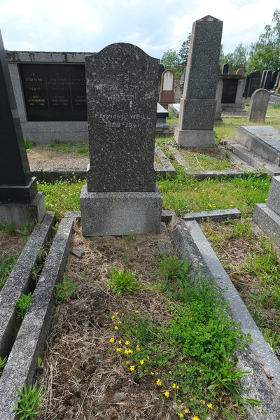 Stèle de Weill Fernand
