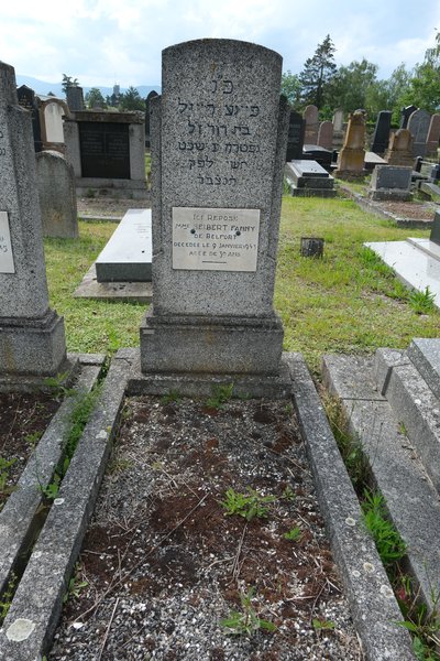 מַצֵּבה פון Seibert Fanny