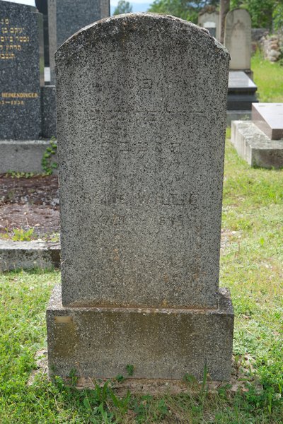 Grabstein von Willig Reine