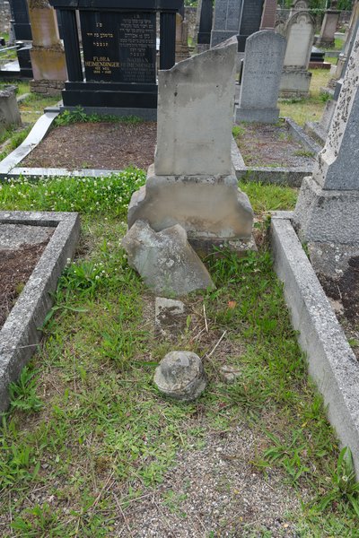 Grabstein von Iticovici Joseph