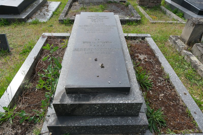 Estela de Nordmann Albert