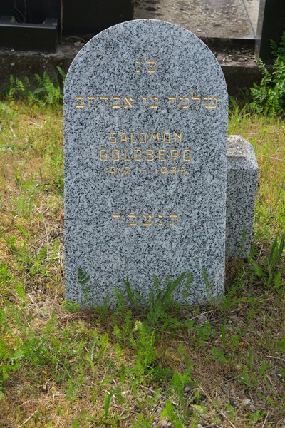 Grabstein von Goldberg Salomon