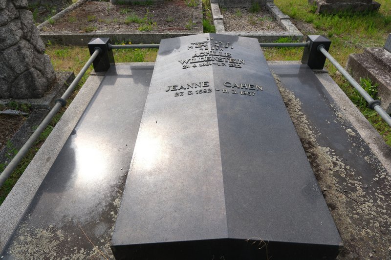 شاهدة قبر Wildenstein Achille