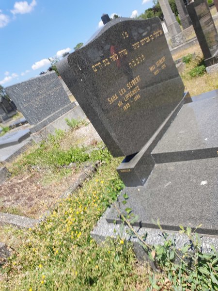 Stèle de Seibert Sara Léa