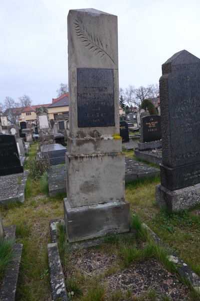 Estela de Wallerstein Stéphane