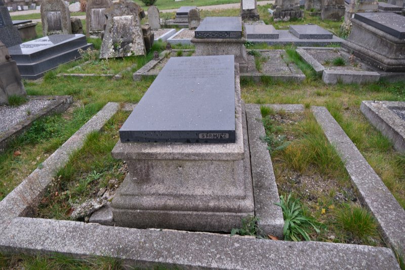 Estela de Haussmann Simon