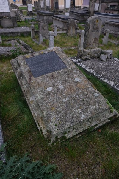 Tombstone of Neusghotz Salomon