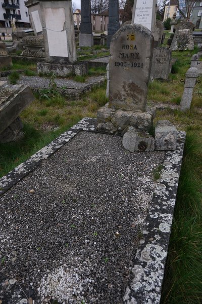 Grabstein von Marx Rosa