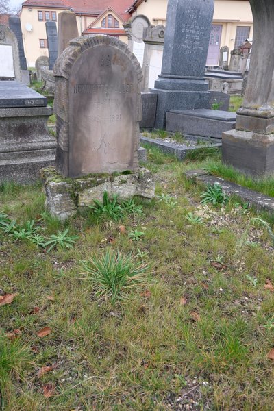 מצבת Faller Henriette