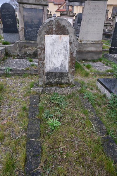 شاهدة قبر Schoenefarber Thésoor