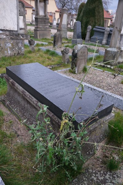 Stèle de Schlesinger Henriette