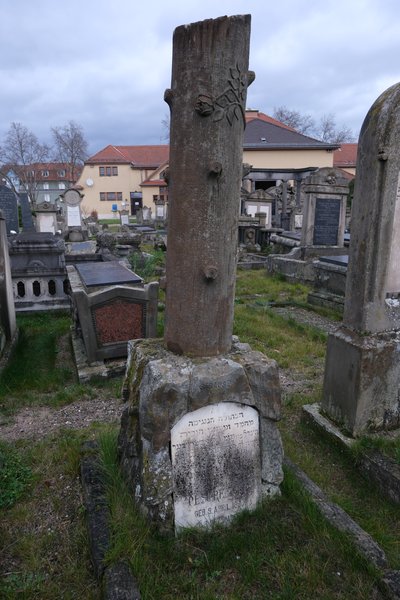 Grabstein von Oestreicher Hilda