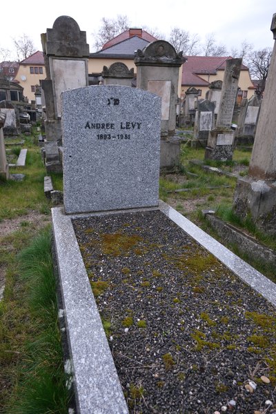 شاهدة قبر Lévy Andrée